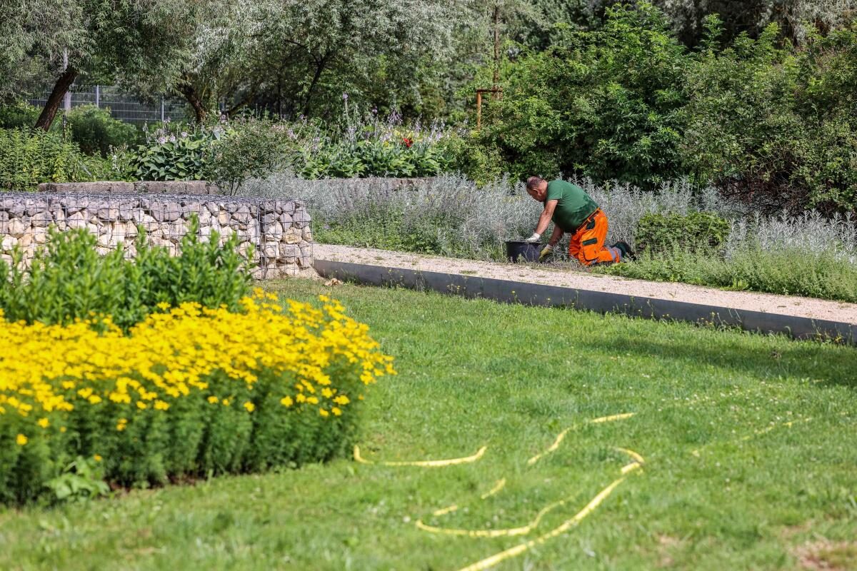 Unkraut jäten, bewässern, pflanzen: täglich wird im Heidenheimer Brenzpark gearbeitet.