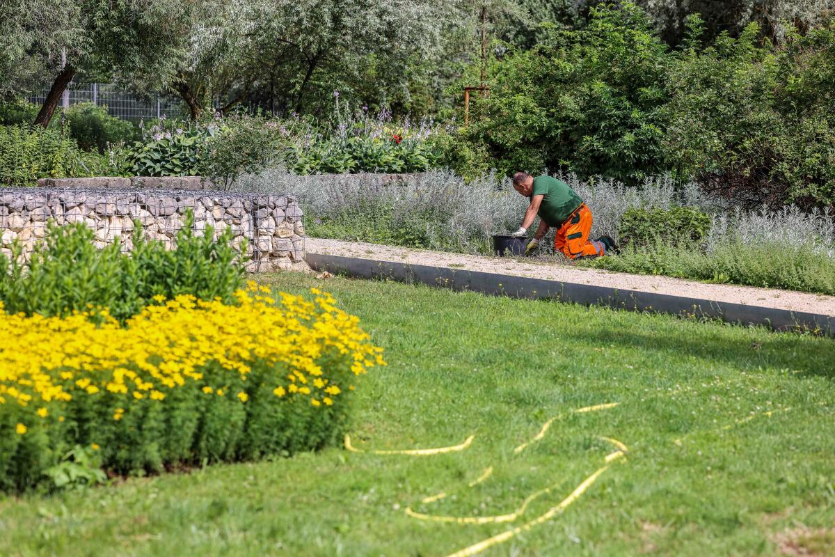 Unkraut jäten, bewässern, pflanzen: täglich wird im Heidenheimer Brenzpark gearbeitet.