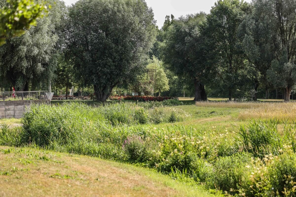 Hier ist der Unterschied deutlich erkennbar. Wo nicht bewässert wird, wird die gemähte Wiese braun.